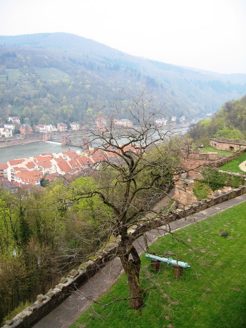 View of the Neckar from the castle