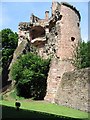UMV7973 : Heidelberg Schloss von nick smith