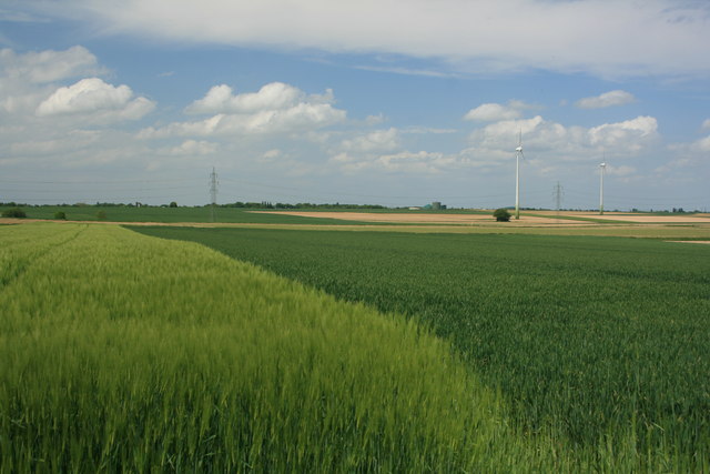 Felder bei Baesweiler