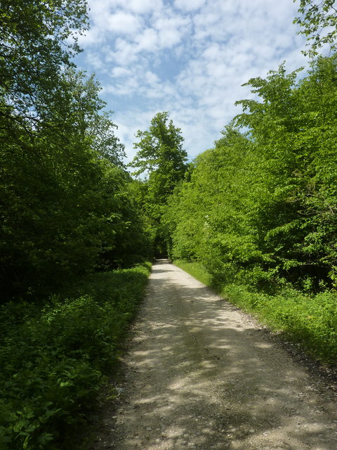 Waldweg nordwestlich von Dußlingen