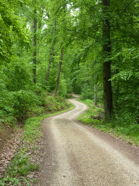 Waldweg zwischen Ohmenhausen und Gomaringen