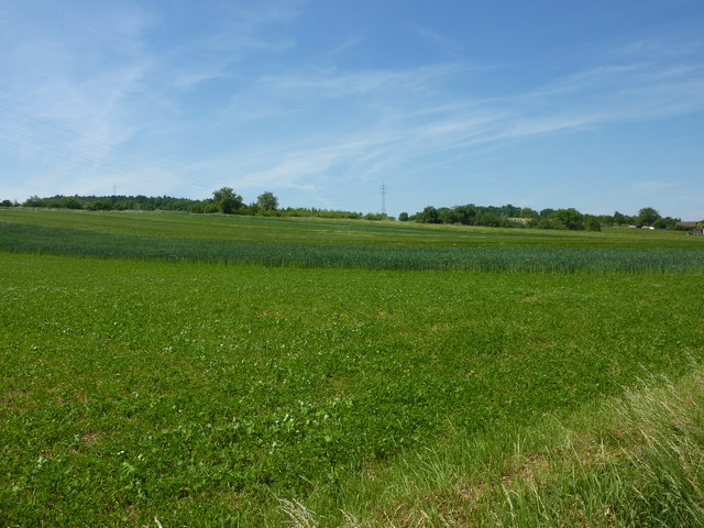 Felder zwischen Haubersbronn und Schorndorf
