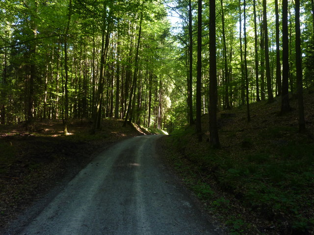 Weg im Wald oberhalb der Klingenmühle im Wieslauftal