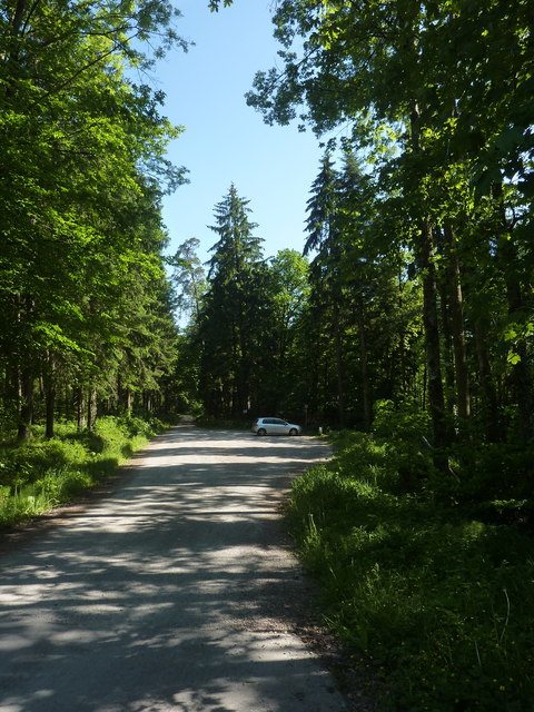 Weg im Wald westlich von Welzheim