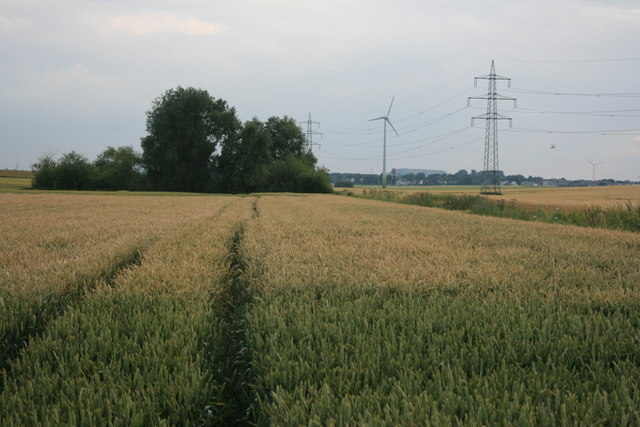 Felder bei Baesweiler