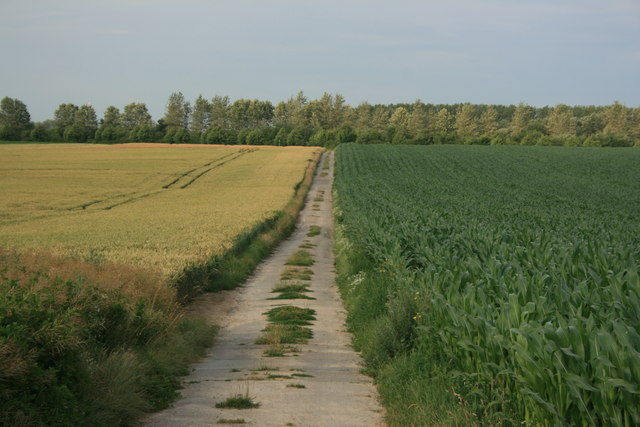 Feldweg bei Siersdorf