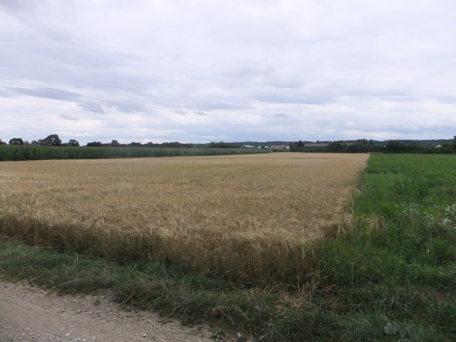 Feld bei Fürstenfeldbruck