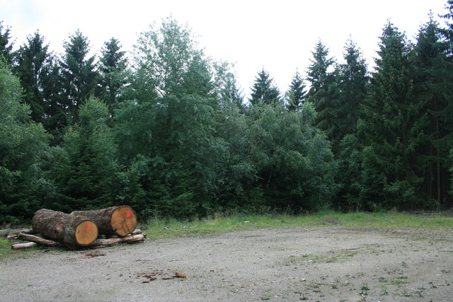 Holzlagerplatz im Hürtgenwald