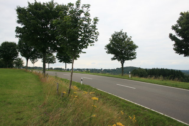 Landstrasse Steckenborn-Woffelsbach