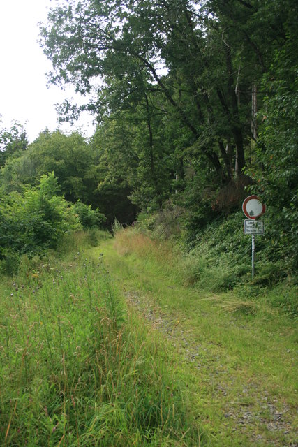 Waldweg in Woffelsbach