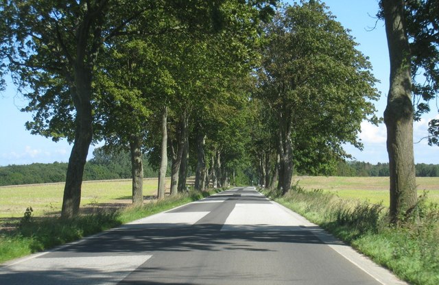 Klützer Straße östlich von Klein Pravtshagen