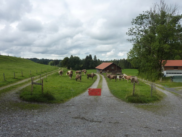 Feldweg bei Schönewald