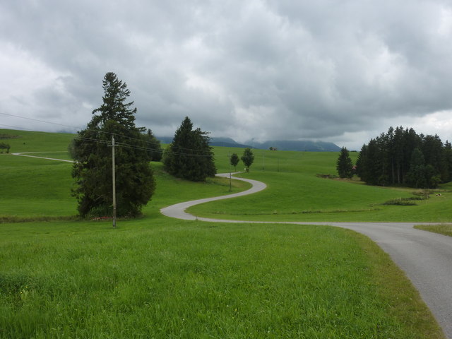 Straße von Hirschbühl nach Schneidbach