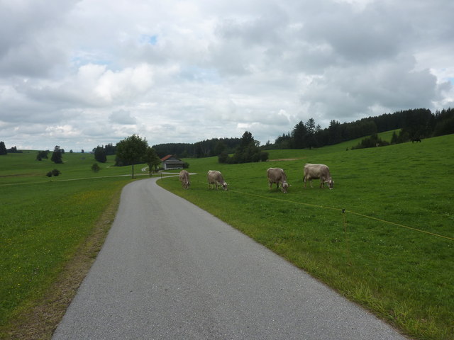 Weg von Schneidbach nach Hirschbühl