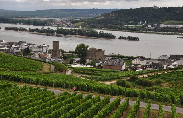 Rheingau-Taunus-Kreis : Rüdesheim am Rhein & River Rhine
