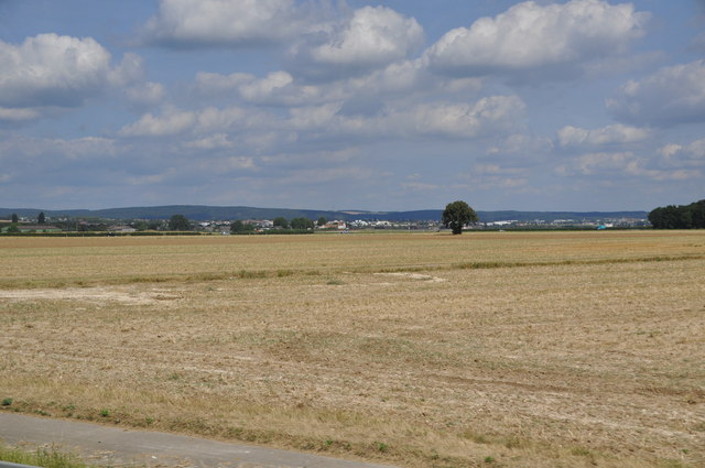 Wiesbaden District : Grassy Field