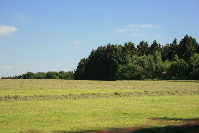 Wiesen am Hürtgenwald