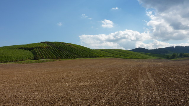 Felder und Weinberge am Breitenauer See