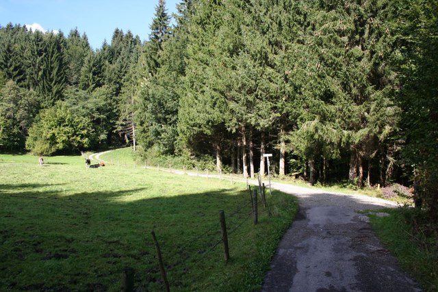 Path junction above Soyermühle