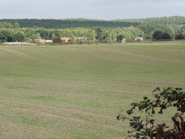 Felder bei Raedigke (Fields near Raedigke)