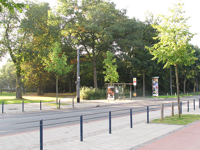 Strassenbahnhaltestelle an Gustav-Deetjen-Allee (Tram stop on Gustav Deetjen Allee)