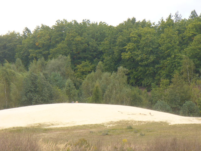 Grunewald - Sandgrube