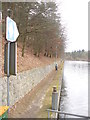 UUU7306 : Forst Dueppel - Teltowkanalufer (Dueppel Forest - Teltow Canal Bank) von Colin Smith