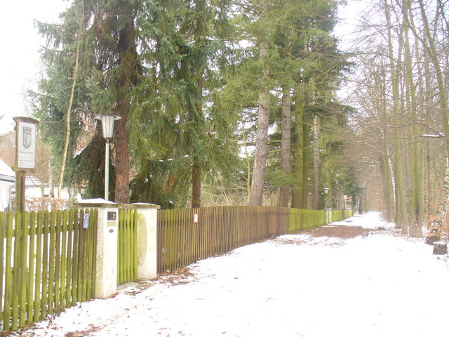 Dahlem - Waldweg (Woodland Path)