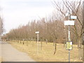 UUU8506 : Teltow-Seehof - Berliner Mauerweg (Berlin Wall Way) von Colin Smith