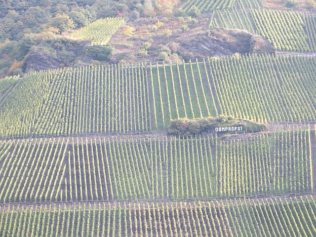 Vineyards above Graach