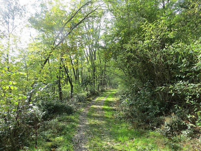 Path between Trarbach and Bernkastel