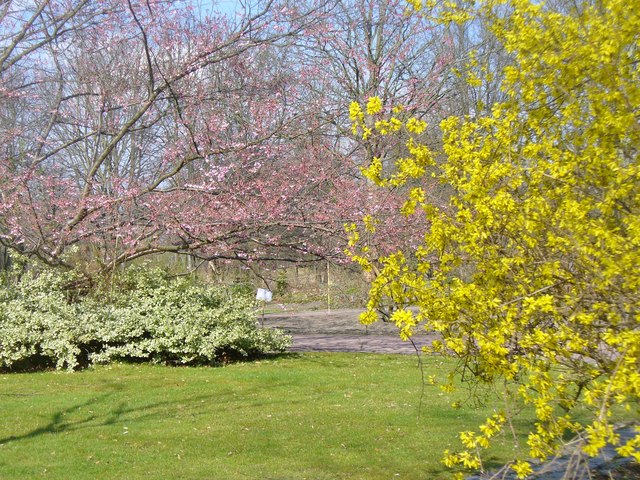 Britzer Garten - Fruehlingsbluete (Britz Garden - Spring Blossom)