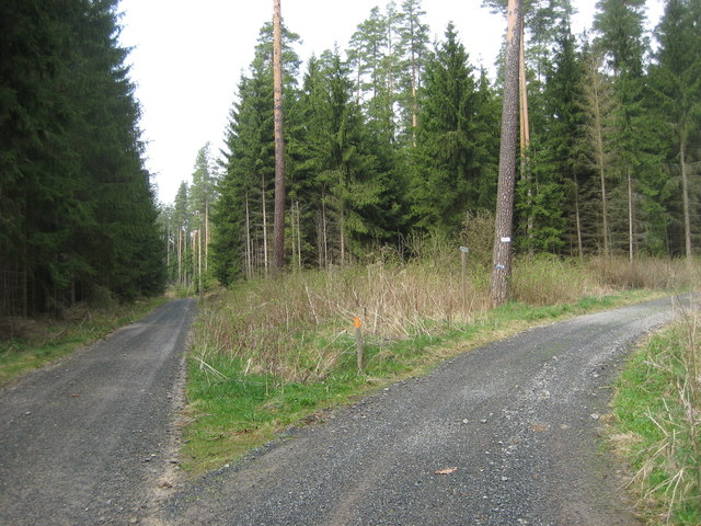 "Fränkischer Gebirgsweg" im Wald zwischen Heidelheim und Schwarzenhammer