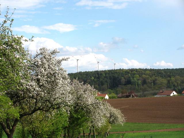 Apfelblüte mit Windkraft