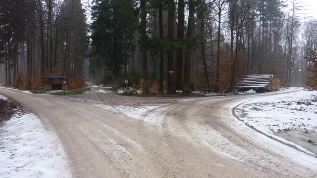 Kreuzung im Wald zwischen Kloster Oberschönenfeld und Engelshof