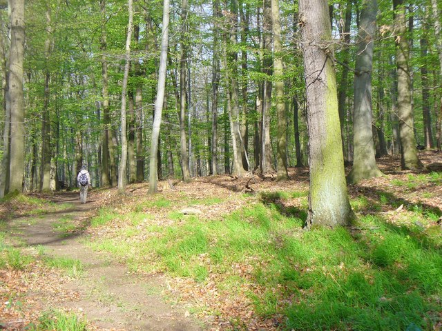 Agnesberg - Wanderweg (Footpath)
