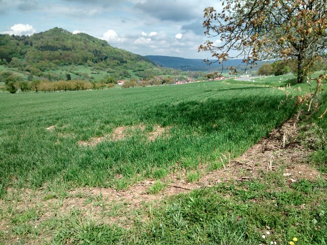 Blick über die Felder Richtung Leutenbach