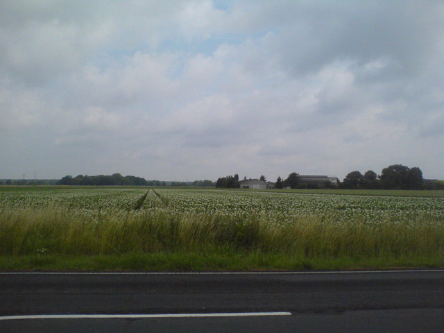 Felder nördlich von Lathwehren (Fields north of Lathwehren)