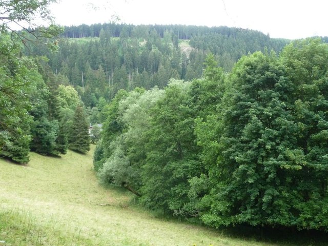 Wooded valley south-west of Cursdorf