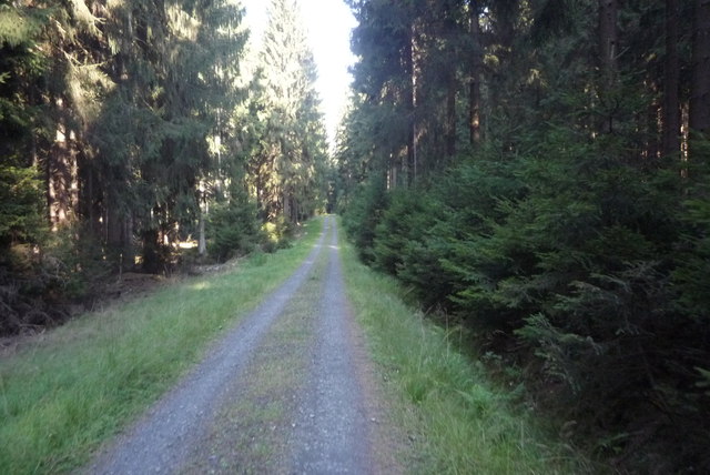 Waldweg bei Offdilln