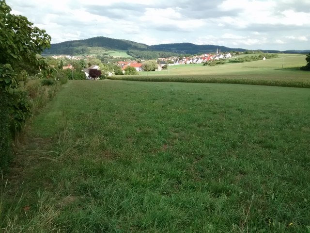 Blick von Unterlindelbach Richtung Stöckach