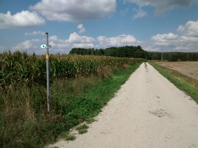 Wanderweg bei Großenseebach