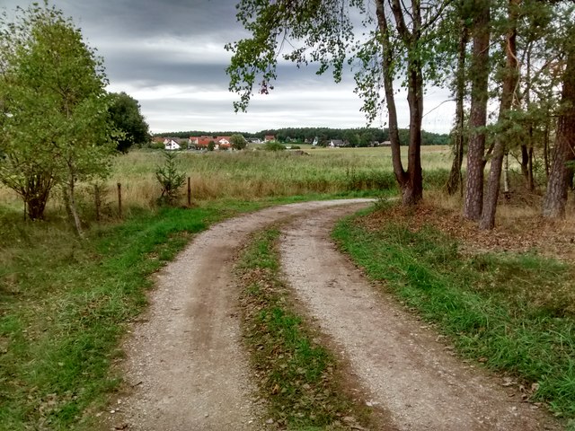 Waldweg Richtung Röhrach