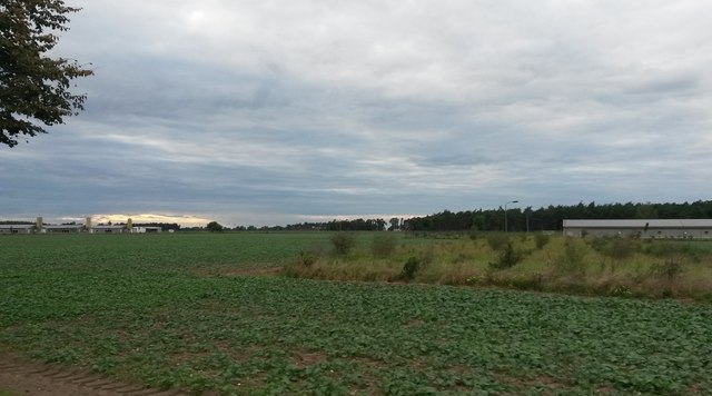 Blick über ein Feld an der B 185