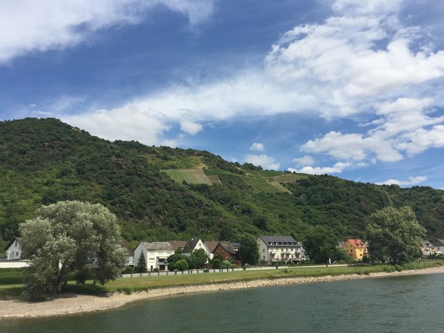 Unterwegs auf dem Rhein - nahe Hellmich