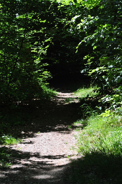 Söllingen: Wanderweg im Waldgebiet "Stranzenberg"