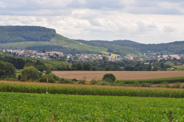 Winzerhausen: Flur "Nußbäumle"