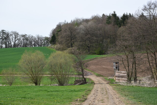 Feldweg in Gemünden (Felda) Vogelsbergkreis (Agricultural road in Gemünden (Felda) Vogelsbergkreis)