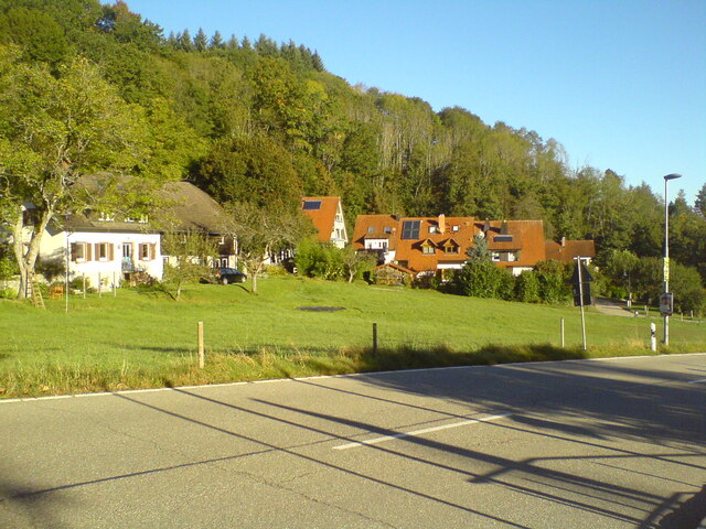 Wiese vor dem Hansenhof (Meadow in front of Hansenhof farm)