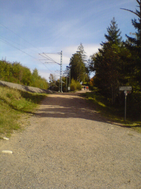 Weg zur Jugendherberge Wolfsgrund (Track to Wolfsgrund youth hostel)